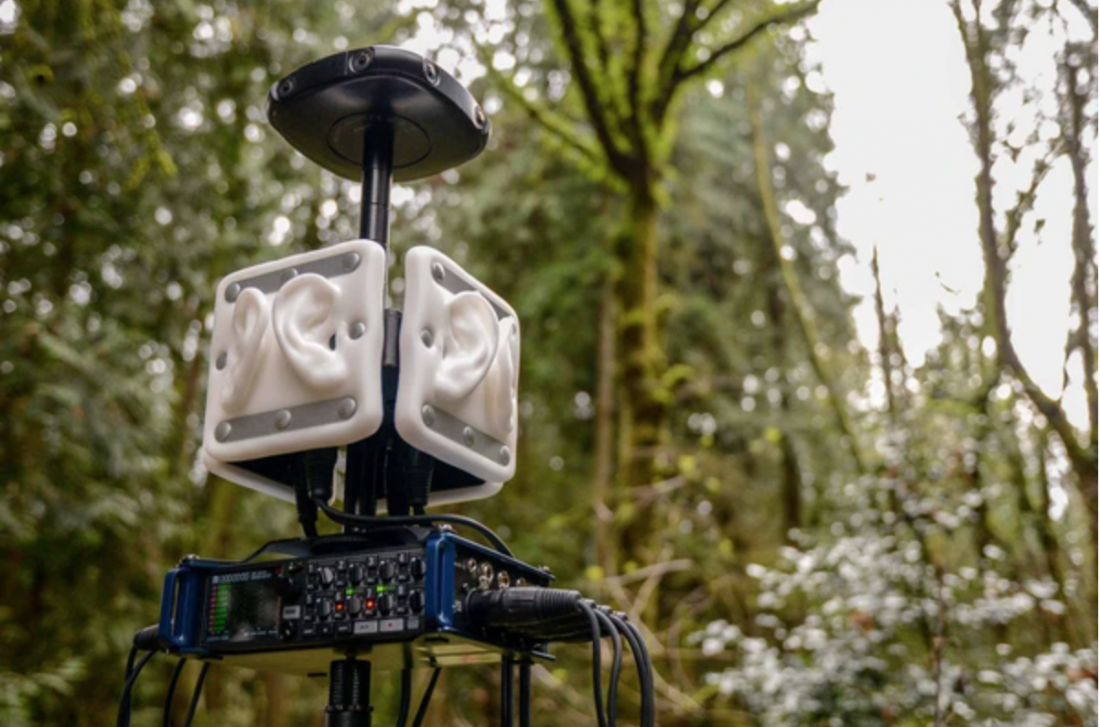 binaural microphone setup